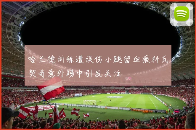 哈兰德训练遭误伤小腿留血痕科瓦契奇意外踢中引发关注