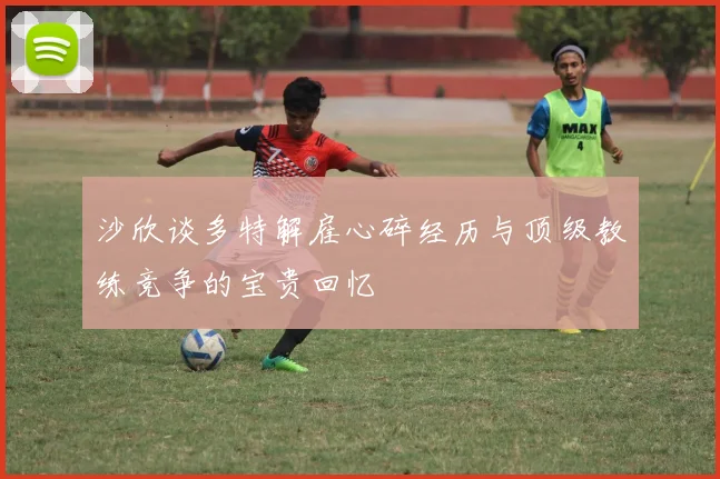 沙欣谈多特解雇心碎经历与顶级教练竞争的宝贵回忆