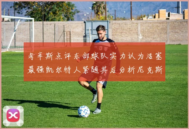 考辛斯点评东部球队实力认为活塞最强凯尔特人紧随其后分析尼克斯不足之处